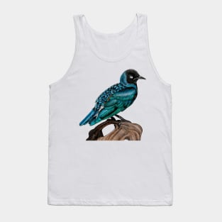 Superb starling Tank Top